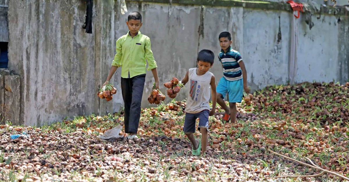 টিসিবির জন্য আনা ২০০ টন পেঁয়াজ পচা, দুর্গন্ধে টেকা দায়